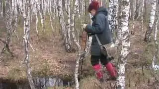 Torfowisko Baligówka