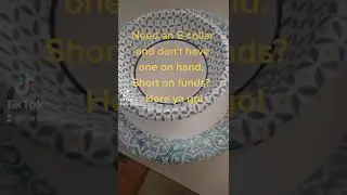 DIY e-collar