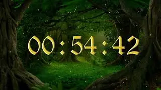 Cursed Hollow With Count Down