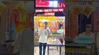 We Tried The Most Famous Pani Puri in Godhra 😋 #shorts #panipurichallenge #foodvlog