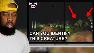 STRANGE THINGS CAUGHT ON VIDEO...