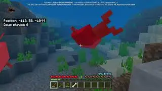 Look theres a lavafall on a mountain and theres a village on the mountain