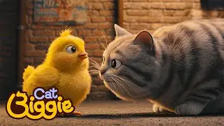 Biggie&Allie REAL First Encounter #CatBiggie #EP1