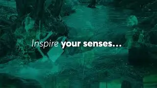 Inspire your senses... NZSQ | New Dates - National Tour 2021