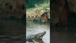 Hidden Tribal River Survival Method