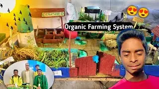 🥰Finally आज SPPS School मे Science Exhibition || Vlog | #P.R MODEL MAKER 