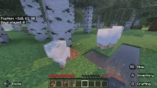 Playing Minecraft With JaydenR12