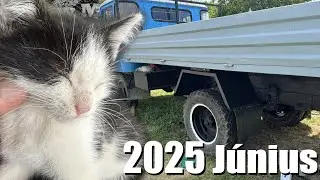 M&uacute;lt h&oacute;napban...... CICA! - 2025 J&uacute;nius