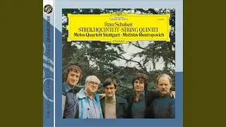 Schubert: String Quintet in C Major, D. 956: I. Allegro ma non troppo
