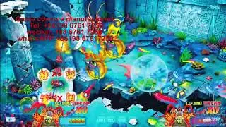 Development of new fishing arcade machines, customizing various fishing arcade machines