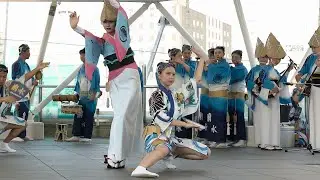 高円寺菊水連 アミコドーム 阿波おどり2025 阿波踊り