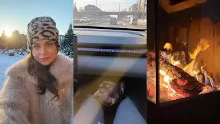 Vlog: Впервые у ветеринара💉🐾Всё жёстче становится жить в Украине😞🥺💔