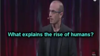 What explains the rise of humans?