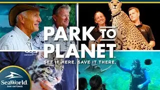 Park to Planet(2019) Jack Hanna, Guy Harvey, and Chris Fischer  | SeaWorld San Antonio