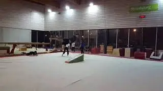 Dragonfly cork round