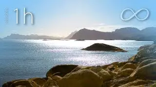 Relaxing music: calm and peaceful, focus, study, stress relief music [N&deg;130 - 1h]