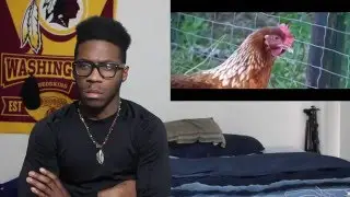 The Lie We Live  REACTION!!!!