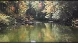 DCR Division of Water Supply Protection Forest Management