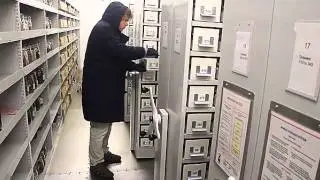 Kew Gardens seed bank