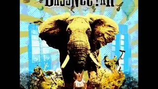 Bassnectar - Cozza Frenzy