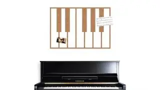 ROLL + PIN  |  The pin board, re-imagined