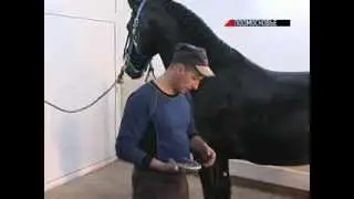 Сюжет о кузнеце из НКП РУСЬ