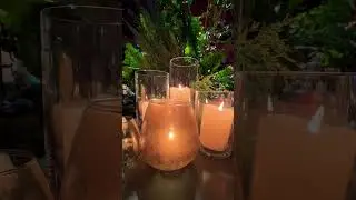 Relaxing bird sounds #fypシ #nature #peace #candle #sounds #sleep #fyp #viral #shortvideos #shorts