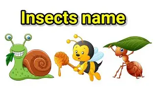 Insects for kids learning #Insects#Insects name, Insects for babies #Insects song