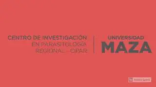 Amblyomma, ciclo de vida