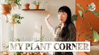 My Plant Shelf Makeover & How to Achieve Your Own【ep 02】