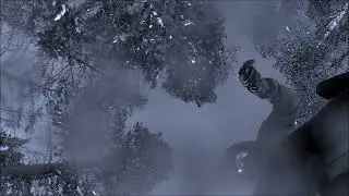 avecjeune.  -  Leaves Turn