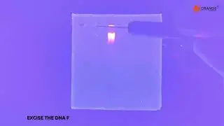 ULTRAPURE DNA GEL EXTRACTION KIT-Cat. No: OP-3002-50Ex