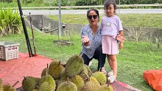 Durian Hunting with friends at Temburong Brunei 🇧🇳 ब्रुनेइ मा दुरीयन खाको पलहरु #nepalivlog #travel 
