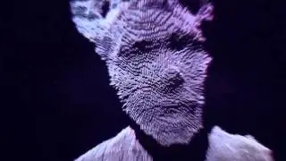 Genepool - Spalter