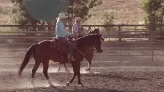 Discovering A Hidden Gem in the Santa Barbra Hills (Alisal Guest Ranch and Resort)
