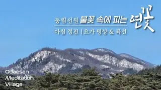 불꽃 속에 피는 연꽃 | 2026.1.18. (일) 아침 정진 | 동림선원 대중 스님과 함께하는 요가 명상 & 좌선 명상 | Meditation Daily Guided