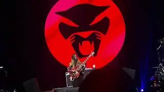 Thundercat - The Orange Cat's Special Time Outdoors (2025.05.31) / Seoul Jazz Festival 2025