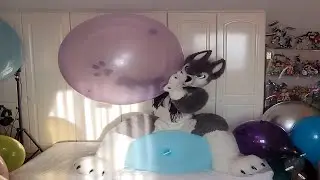 Playing and deflating Cattex 34'' and 40'' balloons (Non Pop)