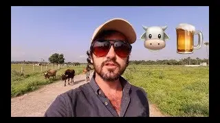 Do Indian Restaurants Sprinkle Cow Urine On Food?