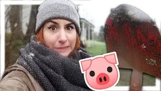 Großer Gartenumbau für unsere Minischweine 🐷