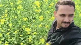 Ajao apne khet me sariso k khet me