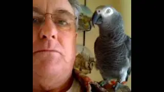 Buddy threatens the dog