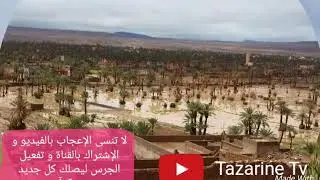 Chikh zayd oubjna Tazarine
