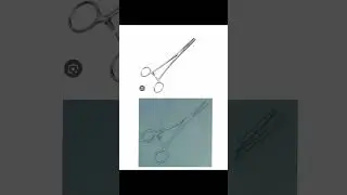 Artery Forceps