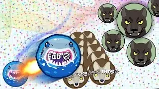 AGAR.IO//EAGLE SKIN//TEAM WITH FAB (GAMES)//NEW INTRO!