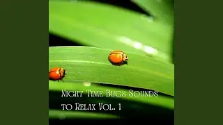 Nature's Orchestra