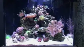 Nuvo 40: 6 Month Update