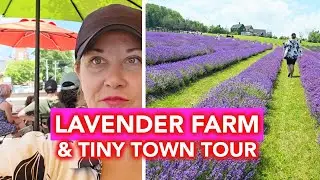 Lavender Farm & Small Town Charm | Creemore + Lavender Farm (Purple Hill Lavender Farm) Day Trip