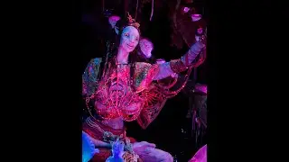 Navi River Journey Disney&rsquo;s Animal Kingdom full ride front row close view of Shaman of Songs