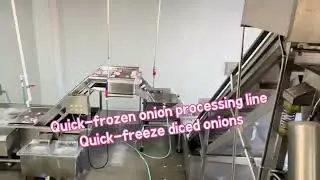 Quick-frozen fruit and vegetable processing assembly line